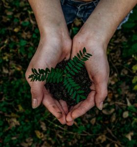 Glocalities: The Eco-conscious report