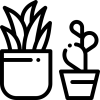 plants