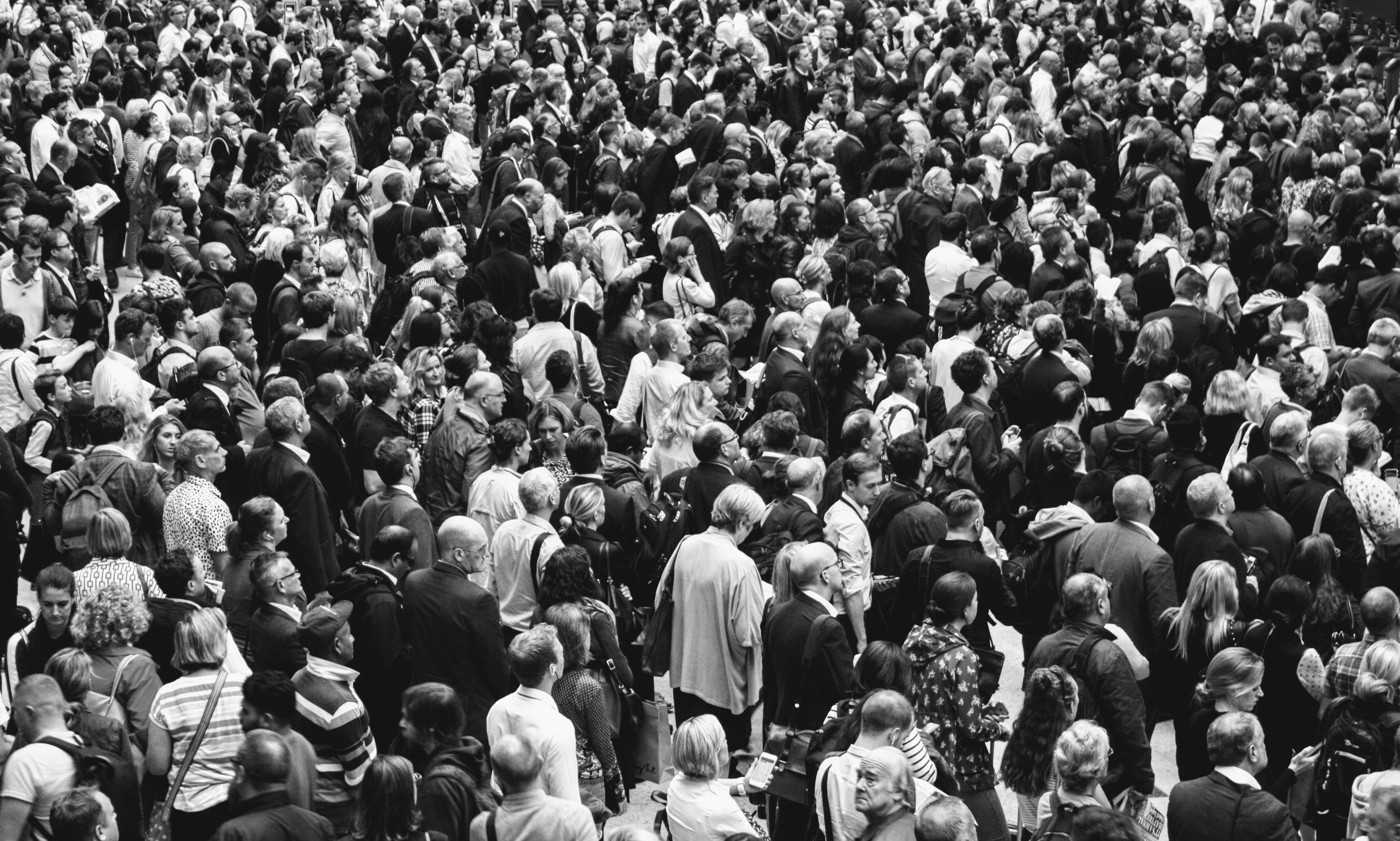 demographics of target audiences